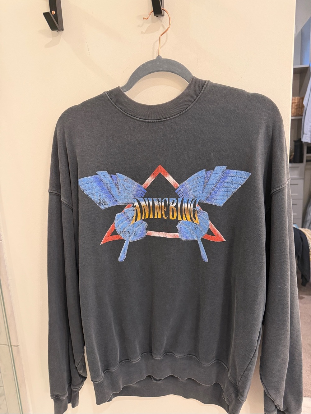Anine bing sweatshirt size small